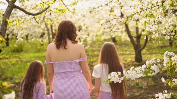 Вид ззаду. мама гуляє з двома дочками в саду серед квітучих дерев . — стокове відео