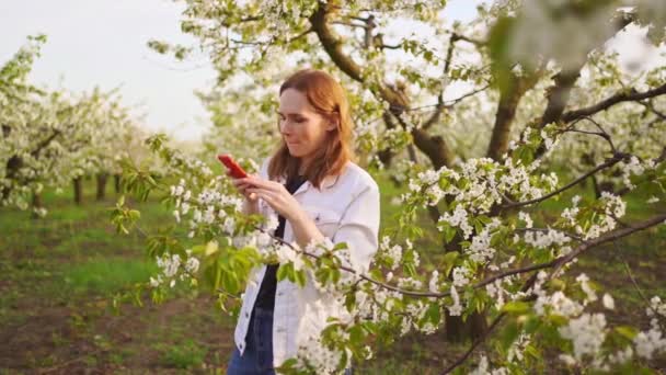Жінка в білій куртці знімає відео на телефоні в квітковому саду . — стокове відео