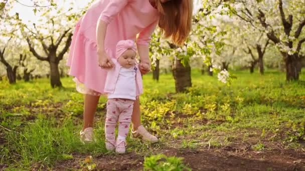 第一歩だ。母と赤ん坊の娘は開花庭に行きます。赤ちゃんに残されたクリップ. — ストック動画