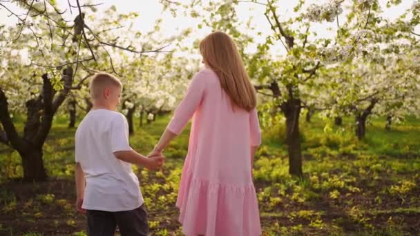 Anne ve oğul genç çiçek açan bir bahar kiraz bahçesinde yürüyorlar.. — Stok video