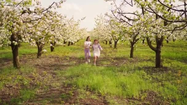 Duas meninas bonitas e felizes correm entre árvores no jardim de primavera florido. — Vídeo de Stock