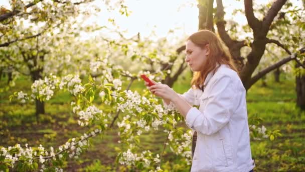 Жінка в білій куртці знімає відео на телефоні в квітковому саду . — стокове відео