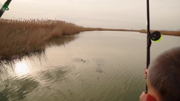 Pescatori. i bambini hanno preso il pesce. bambina e ragazzo pesce su una canna da pesca. — Video Stock