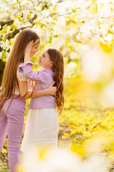 Dos hermanas chicas se divierten y acurrucan en el jardín con árboles florecientes. —  Fotos de Stock