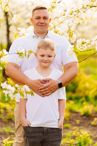 Pai e filho adolescente em um pomar de cereja primavera florido. — Fotografia de Stock