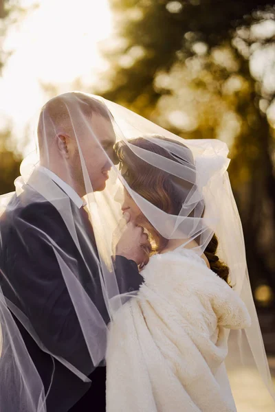 Nazik ve romantik gelin ve damat peçenin altında. — Stok fotoğraf