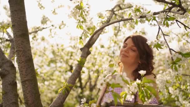 Jolie femme près de l'arbre à fleurs dans le parc de printemps. Cherry Orchard. éblouissement solaire — Video