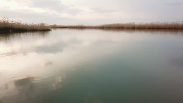 Volando sobre el río. pesca familiar en un pequeño puente junto al río. — Vídeos de Stock