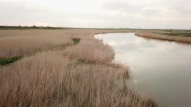 Nehrin üzerinde uçuyor. Nehir kıyısındaki küçük bir köprüde aile balık tutuyor.. 
