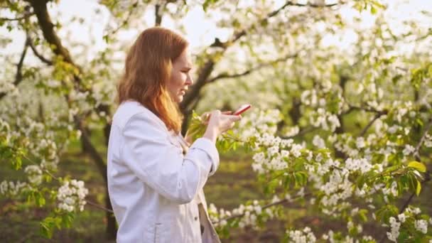 Una mujer con una chaqueta blanca filma un vídeo en su teléfono en un jardín floreciente. — Vídeos de Stock
