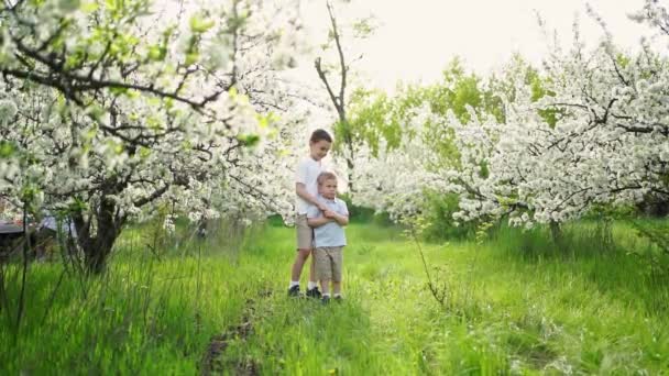 Два маленьких хлопчики на газоні серед квітучих дерев. життя в сільській місцевості . — стокове відео