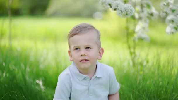 Niño divertido en el césped en el jardín de primavera floreciente. feliz infancia. — Vídeos de Stock
