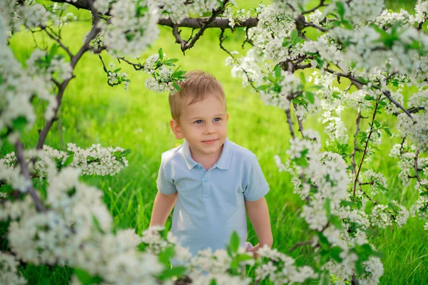 Niño divertido en el césped en el jardín de primavera floreciente. feliz infancia. —  Fotos de Stock