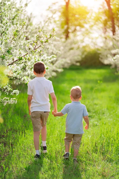 Bakifrån. två små pojkar på gräsmattan bland blommande träd. — Stockfoto