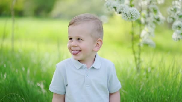Garotinho engraçado no gramado no jardim da primavera florido. infância feliz. — Vídeo de Stock