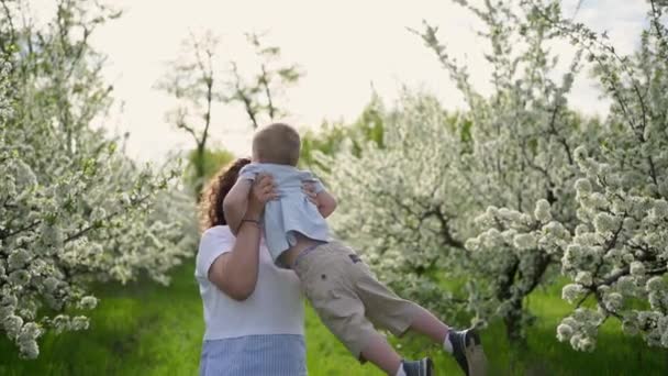 Η μαμά παίζει στον ανοιξιάτικο κήπο με ένα μικρό γιο, στροβιλίζεται και πετάει το παιδί.. — Αρχείο Βίντεο