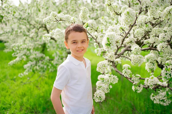 En liten pojke står vid en gren av ett blommande träd i en vårträdgård. — Stockfoto