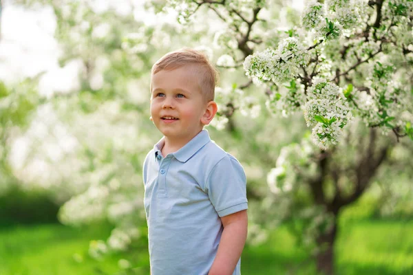 Rolig liten pojke på gräsmattan i den blommande vårträdgården. lycklig barndom. — Stockfoto