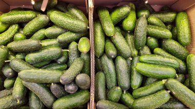 Kutuda salatalıklar. Üst Manzara. Süpermarkette meyve ve sebze satıyorum..