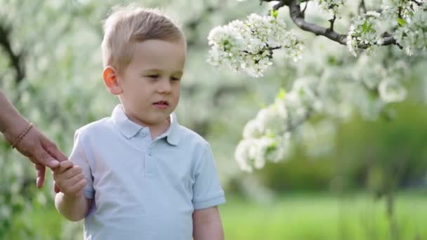 Забавный маленький мальчик на лужайке в цветущем саду держит свою мать за руку — стоковое видео