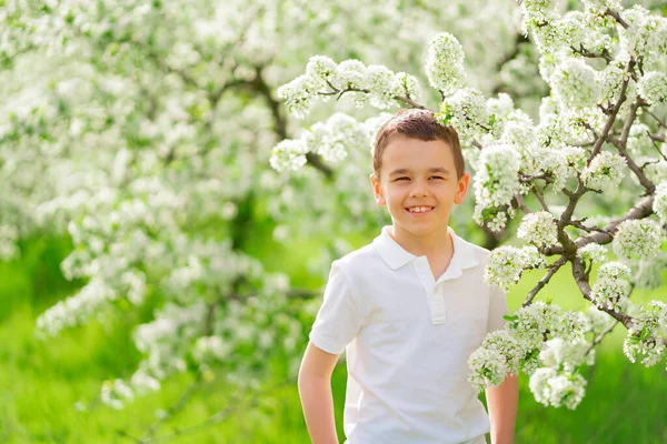 En pojke står vid en gren av ett blommande träd i en vårträdgård. — Stockfoto