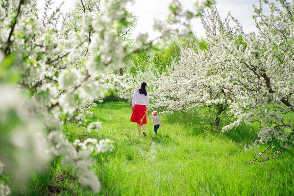 Вид сзади. мама на прогулке с дочерью на руках в парке с цветущими деревьями. — стоковое фото