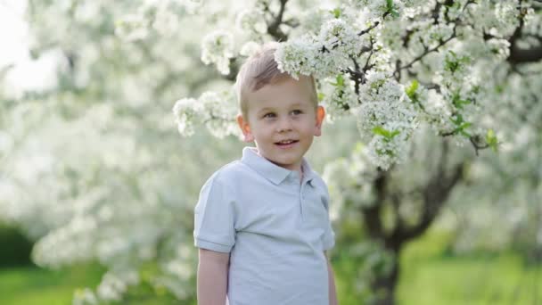 Забавный мальчик в цветущем весеннем саду. счастливое детство. — стоковое видео