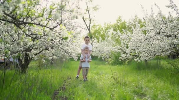 Два маленьких мальчика на лужайке среди цветущих деревьев. жизнь в сельской местности. — стоковое видео