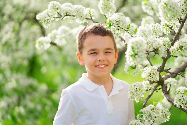 En pojke står vid en gren av ett blommande träd i en vårträdgård. — Stockfoto