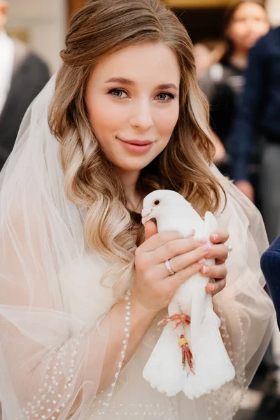 A noiva está segurando um par de pombos brancos. — Fotografia de Stock