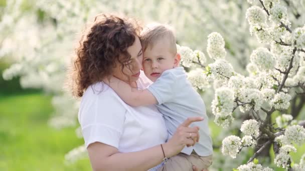 Anne küçük oğlunu çiçek açan bir bahar bahçesinde tutuyor. Ebeveyn sevgisi ve bakımı — Stok video