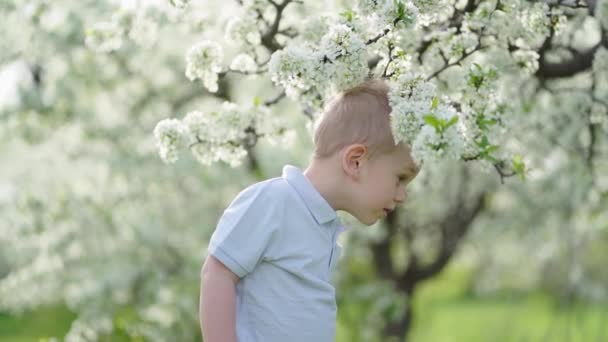 Zabawny chłopczyk w kwitnącym wiosennym ogrodzie. szczęśliwe dzieciństwo. — Wideo stockowe
