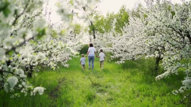 Vue arrière.mère avec fils marche dans le jardin fleuri. plus jeune enfant dans ses bras — Video