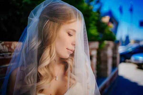 Schöne Braut mit langen welligen Haaren unter dem Schleier. Hochzeits-Make-up. — Stockfoto