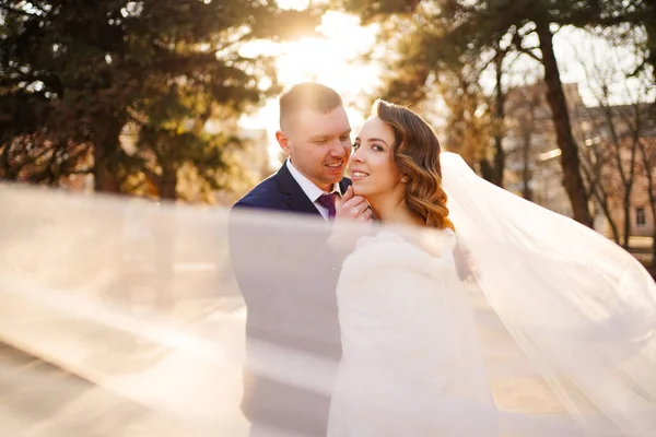 Retrato de amor e feliz recém-casado. moda de casamento. vestido com véu longo — Fotografia de Stock