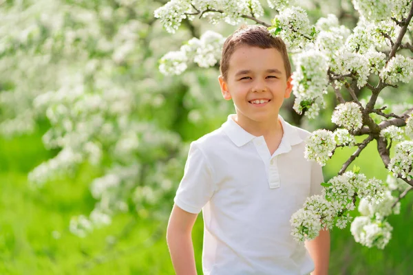 En pojke står vid en gren av ett blommande träd i en vårträdgård. — Stockfoto