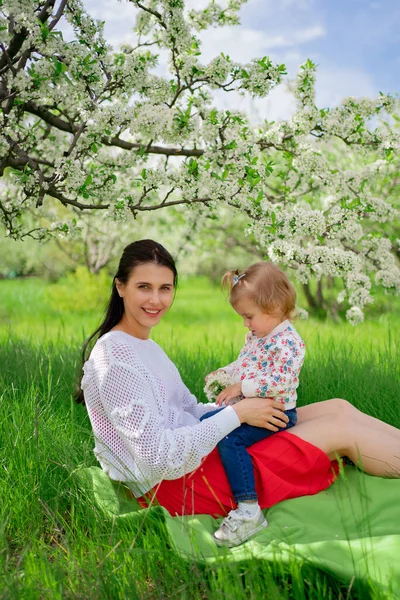 Мама с дочерью на пикнике на лужайке в парке возле цветущего дерева. — стоковое фото