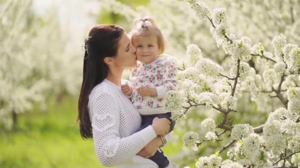 Mama z córeczką w ramionach w parku przy kwitnących drzewach. — Wideo stockowe
