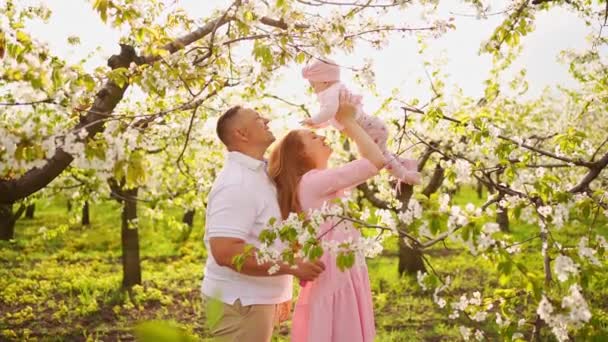 Familia con una hija en el jardín de flores de primavera. labio leporino en lactantes. — Vídeos de Stock