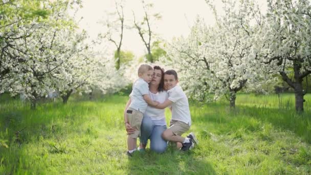 Мать с сыновьями, целующимися и обнимающимися в цветущем саду. День матери — стоковое видео