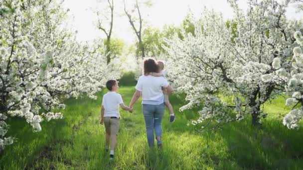 Posterior view.mother con hijos camina en el jardín de flores. la niña más joven en sus brazos — Vídeos de Stock