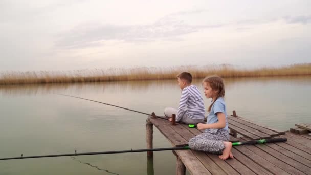 Pêcheurs. petite fille et garçon poisson sur une canne à pêche assis sur un pont en bois — Video