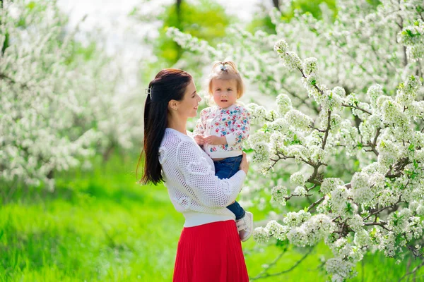 Мама с маленькой дочкой в руках в парке у цветущего дерева. — стоковое фото
