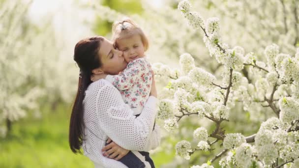 Mamma con una figlioletta tra le braccia nel parco vicino a un albero fiorito. — Video Stock