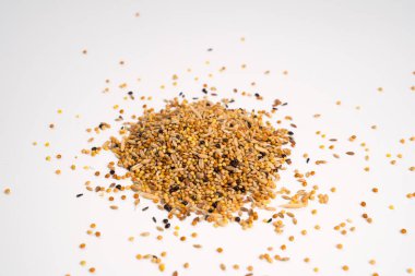 Papağan beyaz arka planda beslenir. evcil hayvan dükkanı.