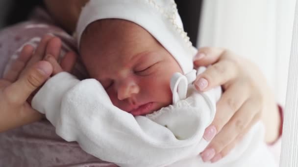 Az újszülött a szülő kezén alszik. elbocsátás a kórházból — Stock videók