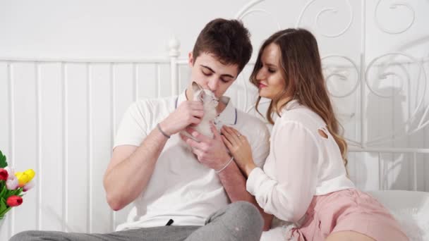 Una hermosa pareja de jóvenes amantes sosteniendo un pequeño gatito blanco sentado en la cama — Vídeos de Stock