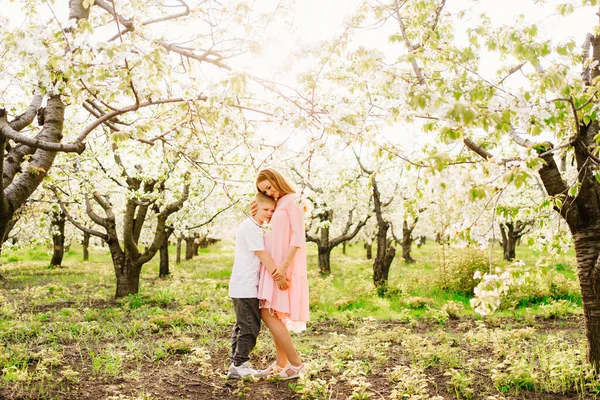 Mãe e filho adolescente em um pomar de cereja de primavera florido. — Fotografia de Stock
