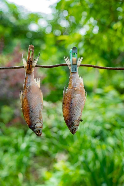 Dried fish hangs outside and dries. salt of the baked fish after fishing. — Stock Photo, Image