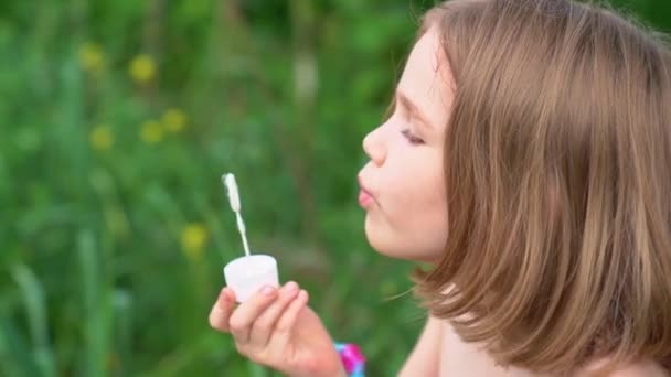 Ein Mädchen bläst auf einer Wiese Seifenblasen auf. glückliche Kindheit und Spaß für Kinder — Stockvideo